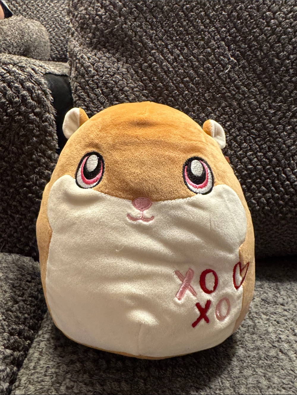 Squishmallows Brown & Cream Hamster Plush with Pink Eye Accents